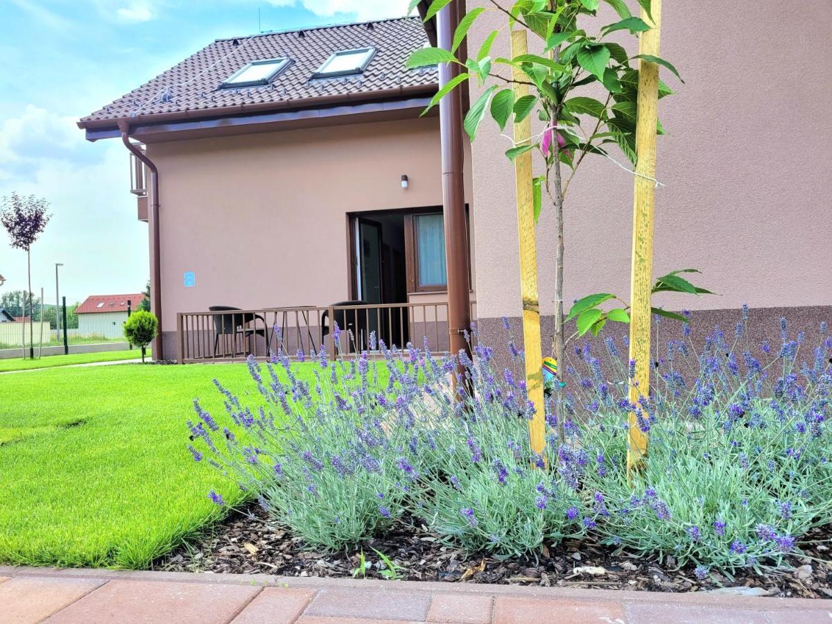 Silver Lodge Vendeghaz Egerszalók Dış mekan fotoğraf